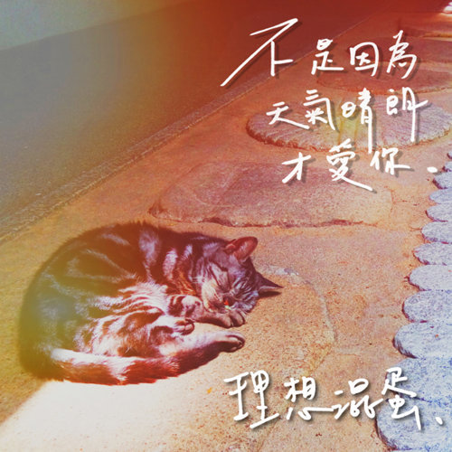 理想混蛋 不是因為天氣晴朗才愛你