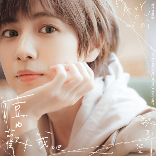 魏嘉瑩 / 喜歡我吧 創作自選輯