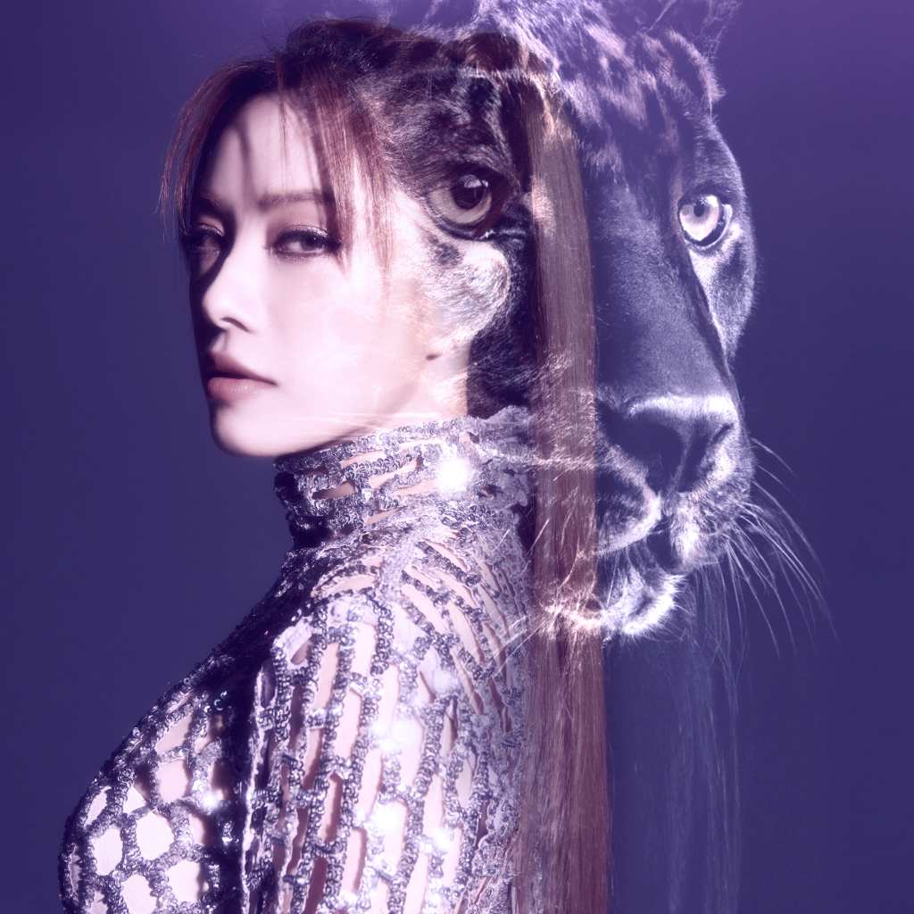 達爾文步伐單曲封面照