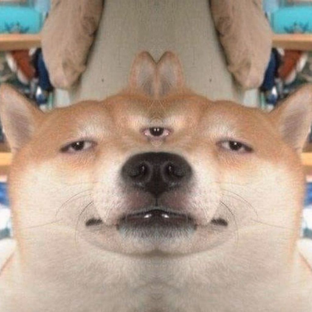 理化兄弟 P.C.B 昭宇