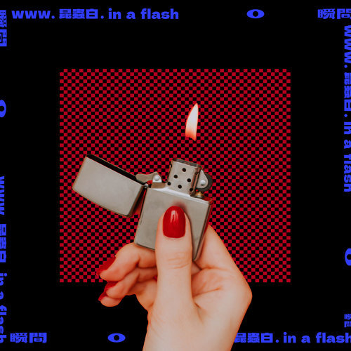 瞬間 (限量黑膠) / 昆蟲白