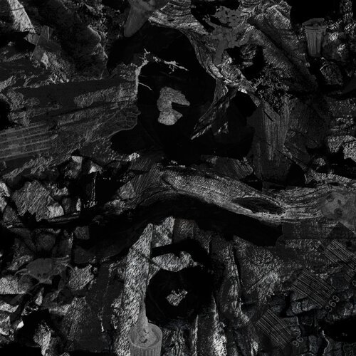 缸 /草東沒有派對