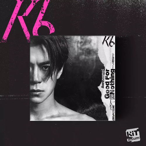 太棒了！我一無是處的人生/K6劉家凱