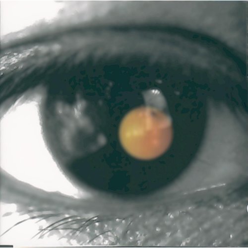 黑色柳丁 / 陶喆