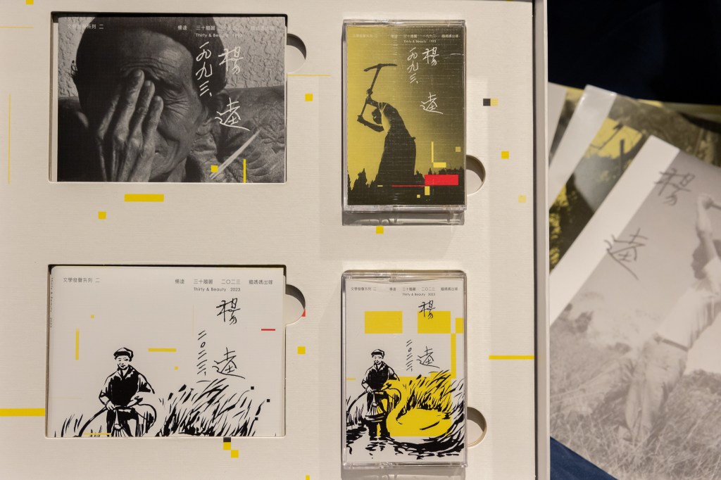 《三十鵝麗》實體專輯照04(三CD雙卡帶)