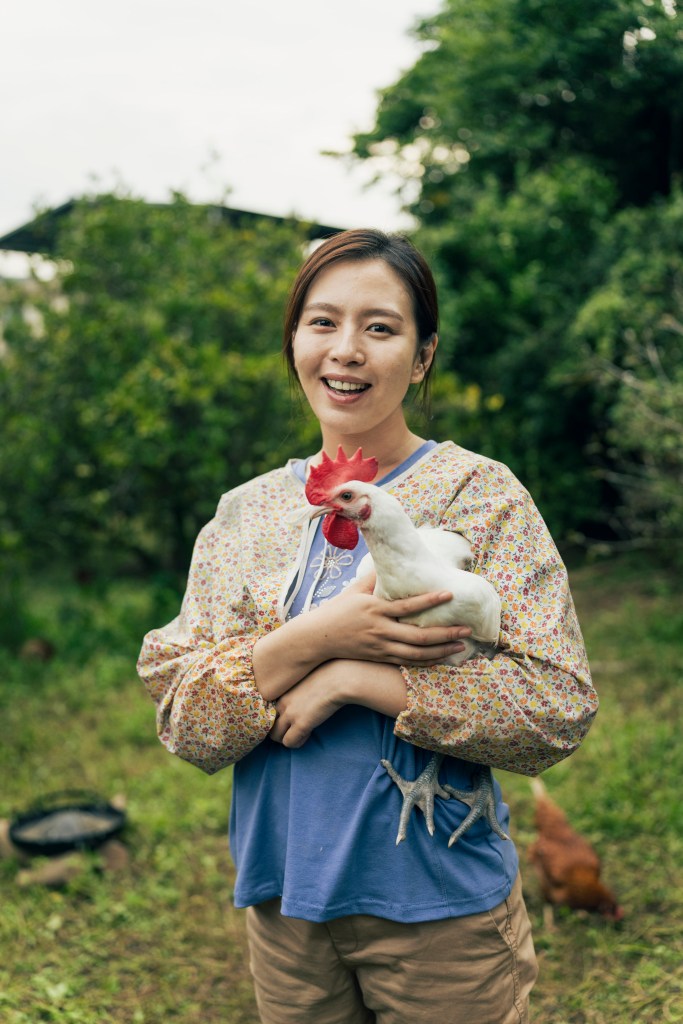 主題曲〈莎莉 Salli〉敘述由劉品言飾演的女主角，從樸實的農村生活遠赴法國的浪漫追愛故事