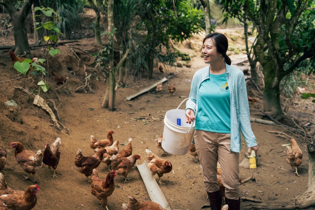 主題曲〈莎莉 Salli〉敘述由劉品言飾演的女主角，從樸實的農村生活遠赴法國的浪漫追愛故事
