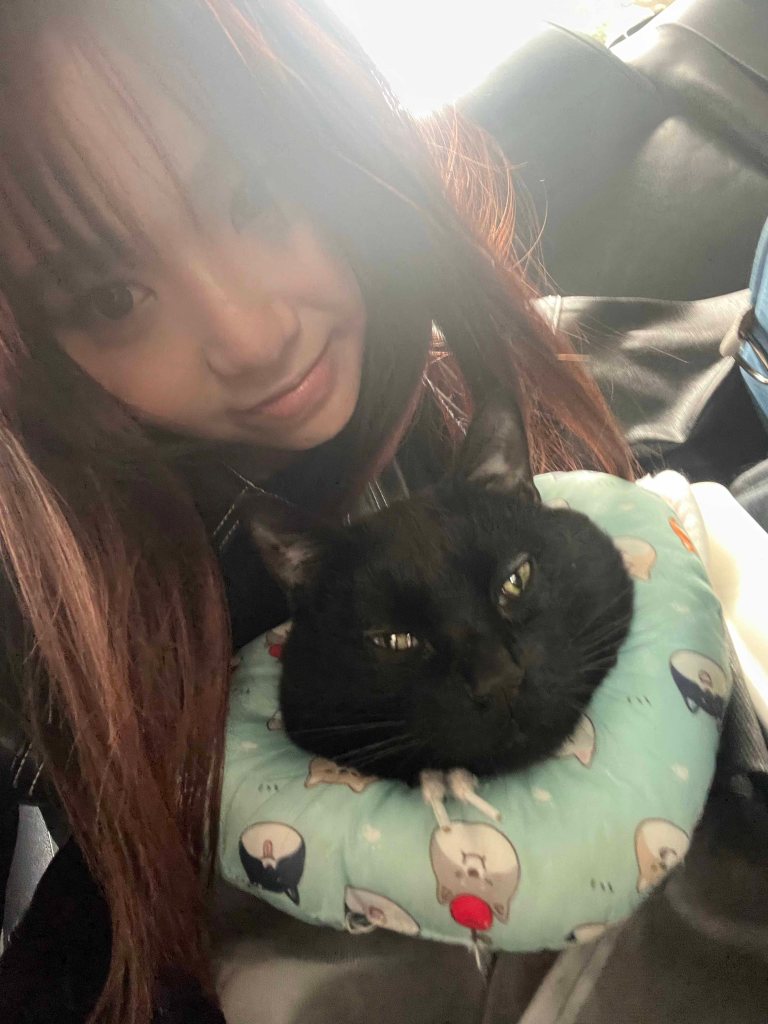 陳芳語〈未完成〉紀念已逝愛貓Kiwi (照片提供:華風數位)