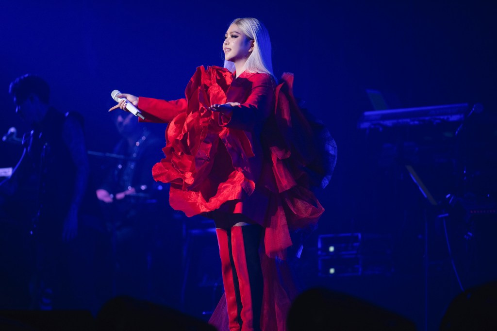 aMEI首登日本武道館開唱 (照片提供:聲動娛樂)