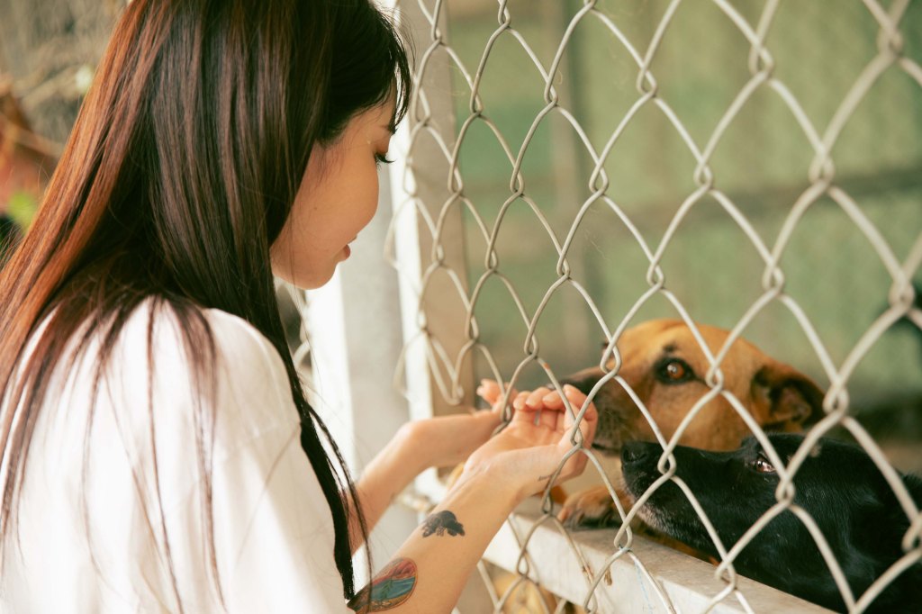 陳芳語〈Good on You〉MV赴台中當浪浪一日志工 (照片提供:華風數位)
