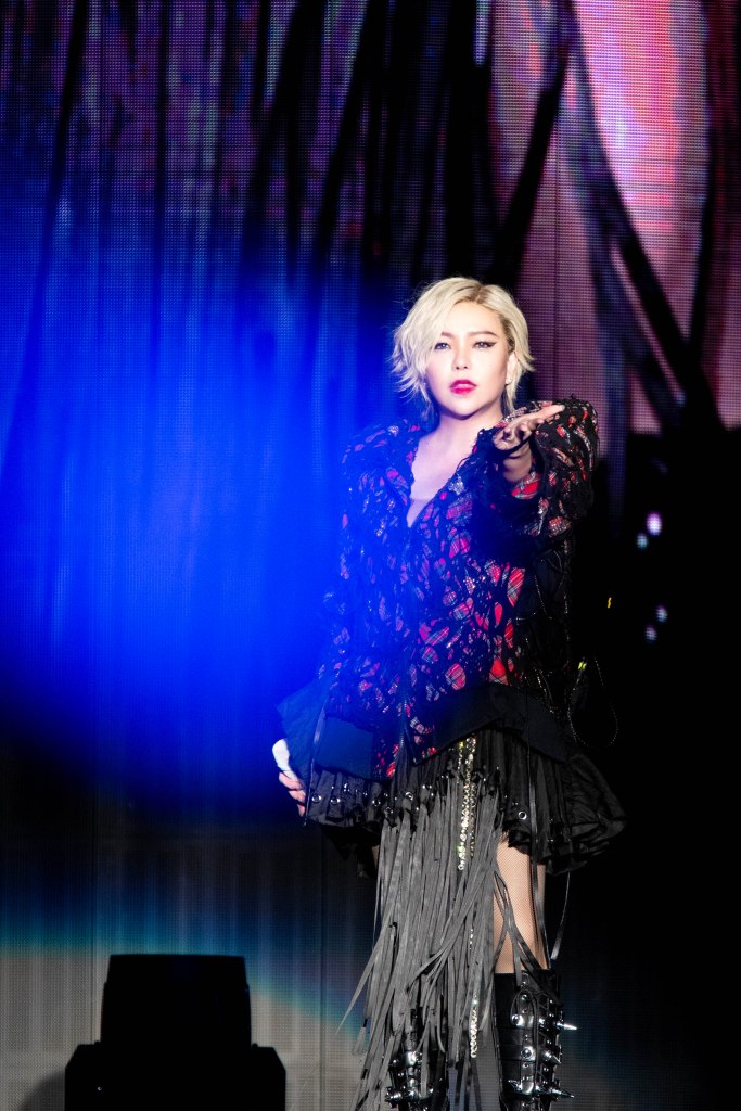 張惠妹確定年底登台北大巨蛋開唱 (照片提供:聲動娛樂)