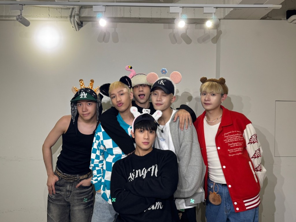 Dolfan動物轉蛋登場VERA化身可愛動物