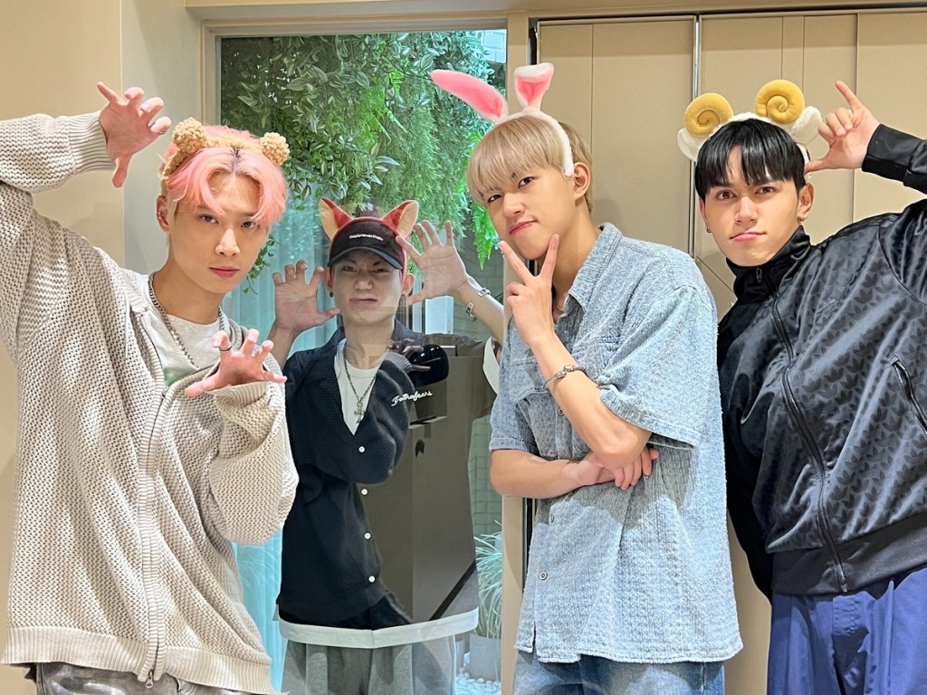 Dolfan動物轉蛋登場Saturnday化身可愛動物