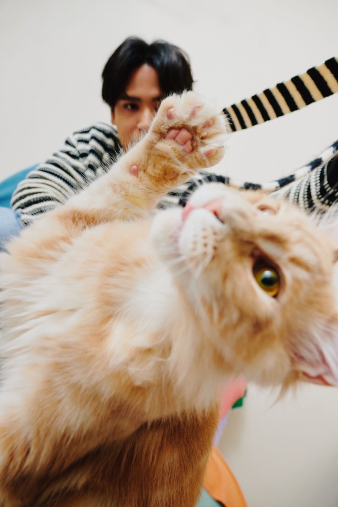 這次新歌單曲封面陳零九特別與四個多月大的愛貓「橘籽」一同入鏡，拍攝時橘籽展現了活潑親人的個性（照片提供：種子音樂）