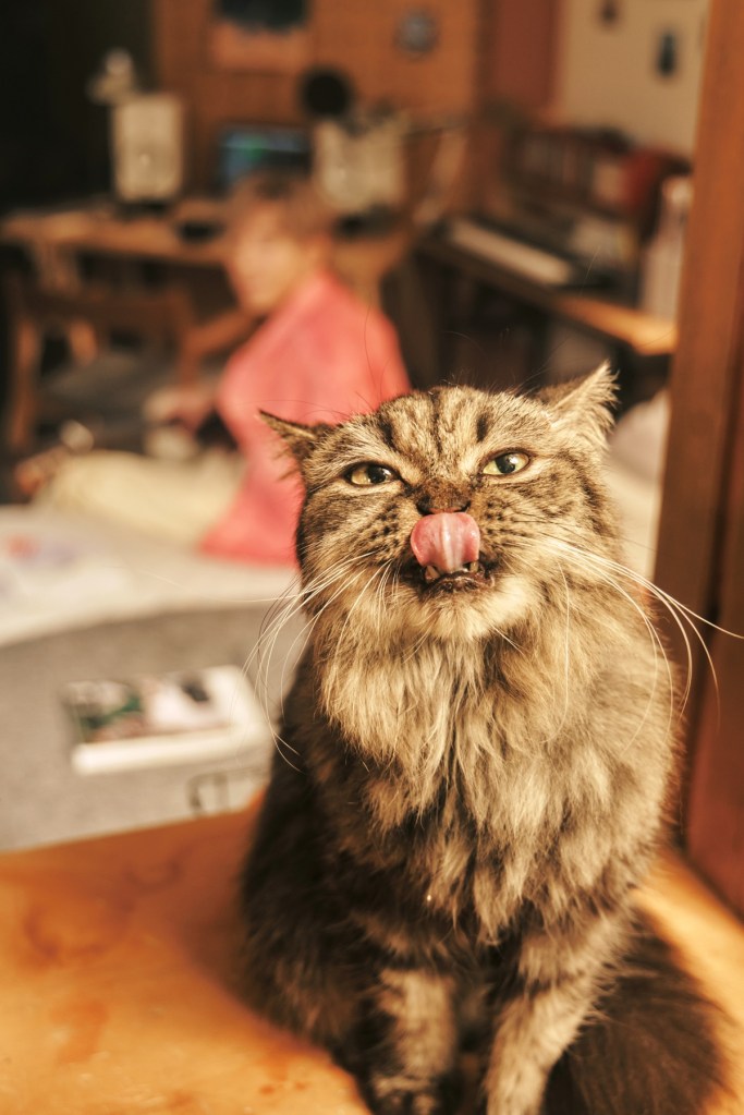 GJ蔣卓嘉改編告五人代表作〈愛人錯過〉(照片提供:索尼音樂)