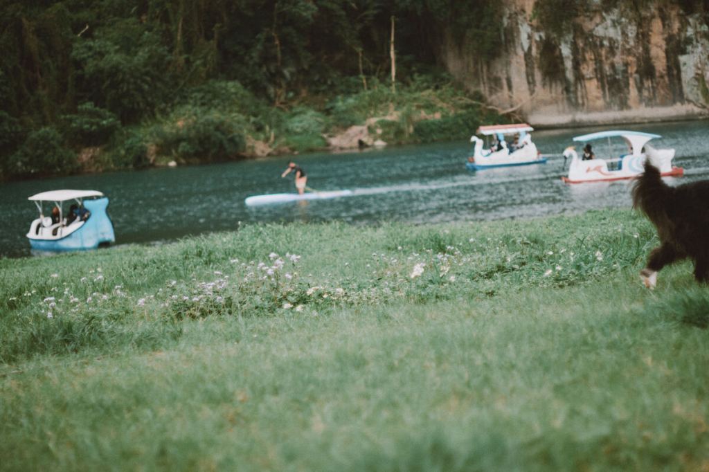 〈給自然的禮物〉單曲封面